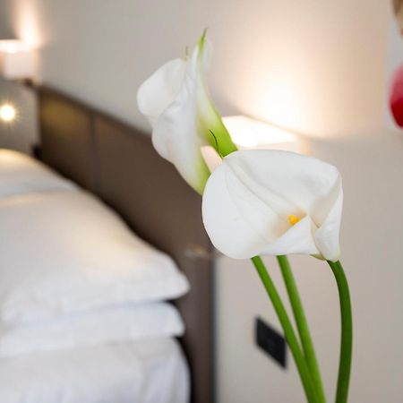 San Martino Siccomario Hotel Plaza מראה חיצוני תמונה